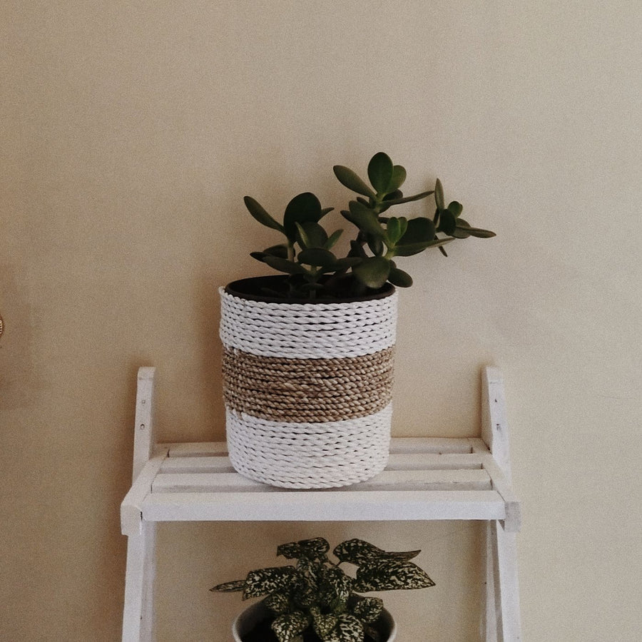 Saucered Garden Planter