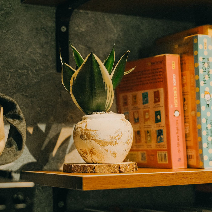 Single Stem Stoneware Vase